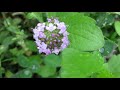 The Future is Beautiful  /  Daniel Kobialka