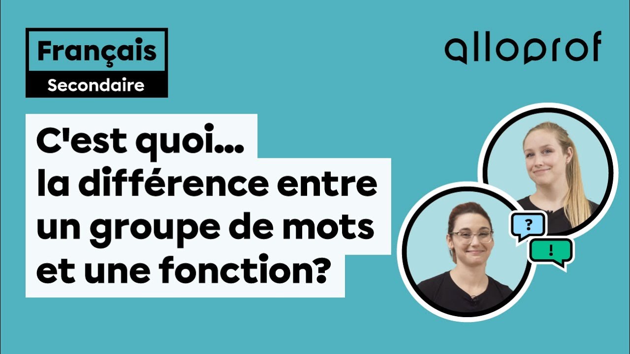 C'est quoi... la différence entre un groupe de mots et une fonction?