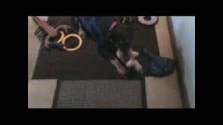 That&#39;s Not Your Bear