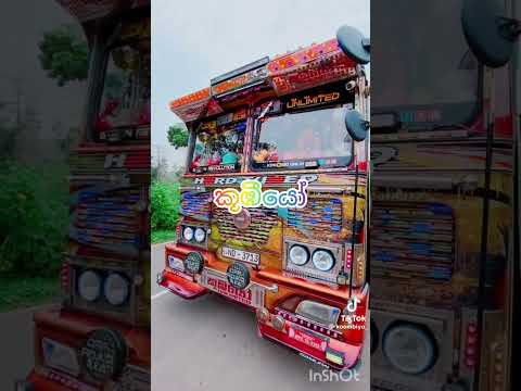 2025 ලංකාවේ ප්‍රසිද්ධම බස් 5 😍😁😚#srilaka#bus#pisso