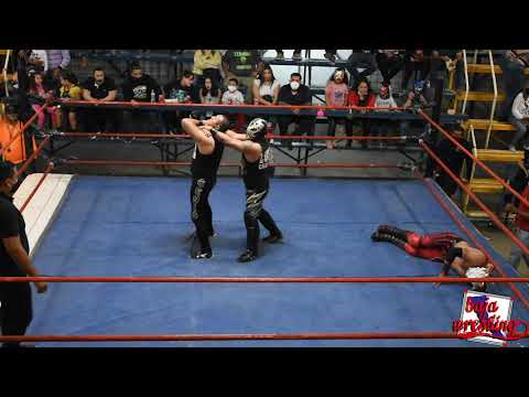 AEROBOY VS GENIO DEL AIRE VS XTORM