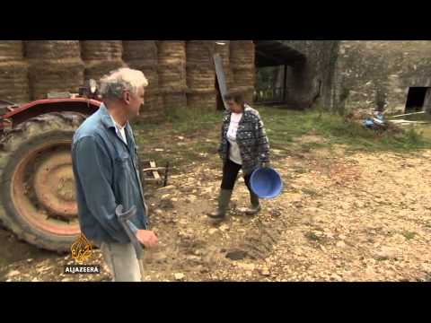 Suicide risk rife among France's farmers