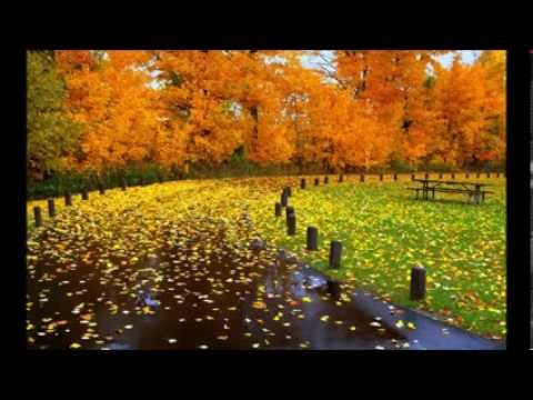 HI-Q   Sfarsit de Septembrie