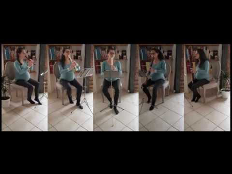 Passacaille d'Armide - Jean-Baptiste Lully (1632-1687)