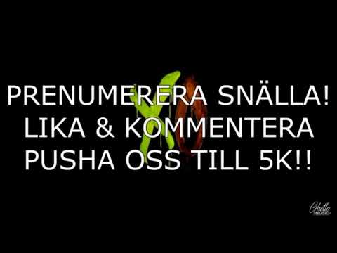 Dree low ft yasin byn XO