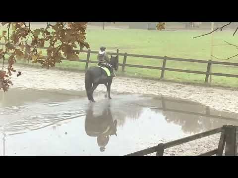 Anna les voltige en paardrijden 10/12/2022