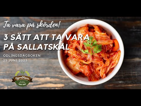 3 sätt att ta vara på Sallatskål