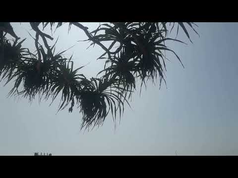 some where in beach (@pramodyadeshan56225m)