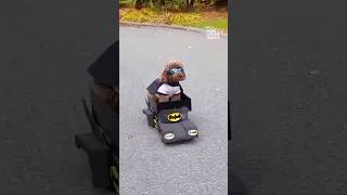 Miniature vidéo