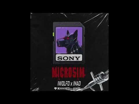 IWOLFO X INAD - MICROSIM (Official Audio) Prod. by simmi-ohh
