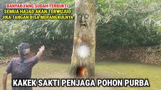 Download lagu Viral !! Bertemu Kakek Sakti Penjaga Pohon Purba Yang Hidup Sejak Jaman Kerajaan Galuh mp3 Download lagu Viral !! Bertemu Kakek Sakti Penjaga Pohon Purba Yang Hidup Sejak Jaman Kerajaan Galuh mp3
