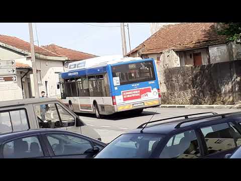 STCP linha 805 veiculo 3086 e 3142