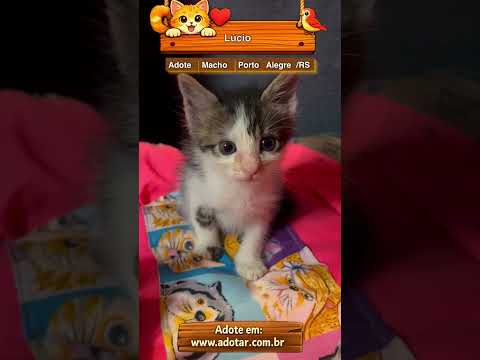 Vídeo de Lúcio 