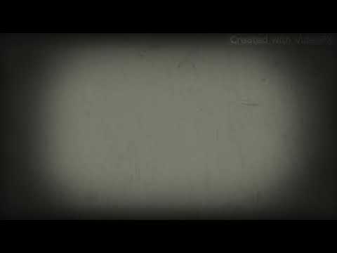 2Litter x Mike Bezzy x Demo