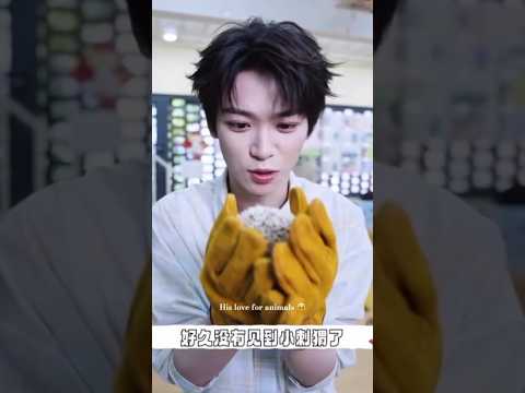 Idk who's cuter Ziyu or the animals #revengedlove #tianxuning #ziyu #chicheng #wusuowei #shorts #fyp