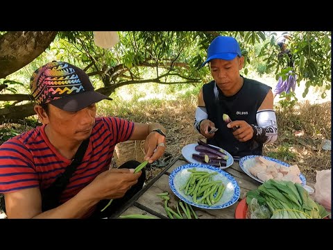 Techniques & Tips in Harvesting Mango | Bonus Episode Part 2