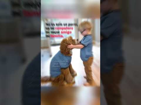 😽🐶🙏🙌❤️❤️❤️