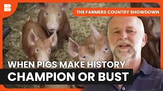 Tamworth Pig Farmers Race for Champion Prize | The Farmers Country Showdown