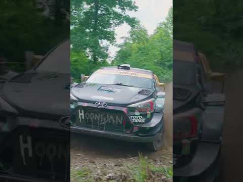 Rally Hyundai i20 wrc kin block Hoonigan monster 💚💚