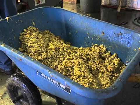 download lagu mp3 mp4 Apple Seed Oil For Sale, download lagu Apple Seed Oil For Sale gratis, unduh video klip Apple Seed Oil For Sale