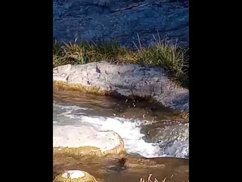 Huerta Grande, Punilla, Córdoba, Argentina.#huertagrande