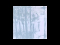 The Magnetic Fields - 100,000 Fireflies