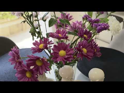 Video for 13 Nina Crescent, North Lakes  QLD  4509