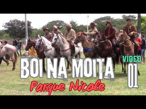 Boi na Moita Parque Nicole, Campo Maior-PI