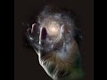 HYPNOSE VERÄNDERUNG