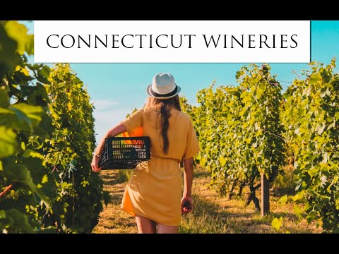 Top 5 Wineries on the Connecticut Wine Trail 🍷
