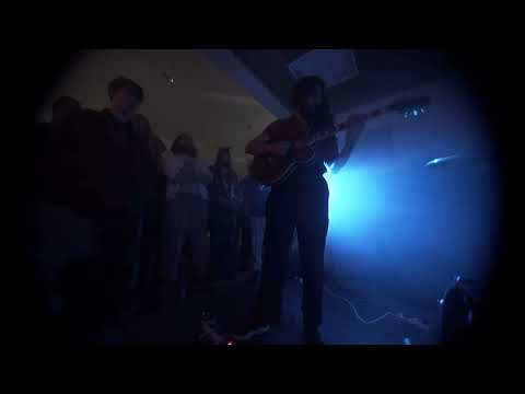 Dreymandi hundur @ Norðanpaunk 2023