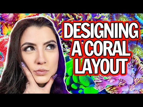 Coral Placement & Designing a Reef Tank