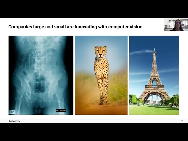 Shutterstock product / service