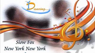 Slow Fox - New York New York