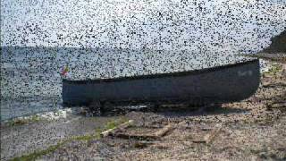 Aertha Franklin - All the king&#39;s horses [original song]