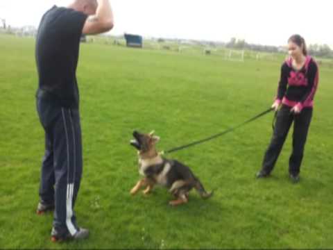 Hannibal z Medvedej Doliny, Protection