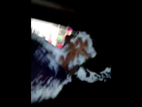 nirob's birthday video just fun