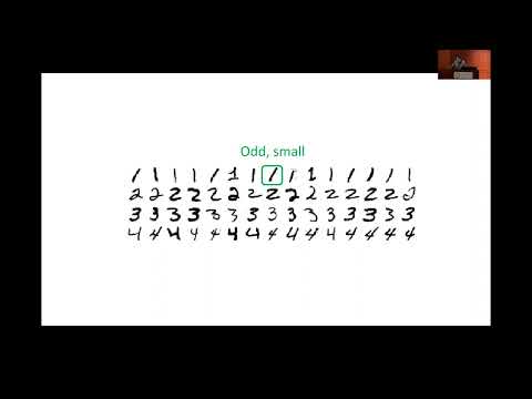 BRI Joint Seminar in Neuroscience - Stefano Fusi, Ph.D.