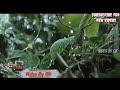 Ab Ke Sajan Savan Me Whatsapp Status Video By Gk