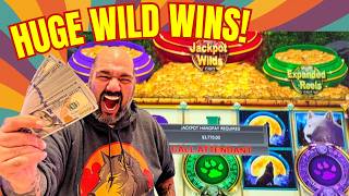 THE WOLVES HOWLED THEN BIG MONEY KEPT COMING ON 2 HOURS WOLF RUN!!