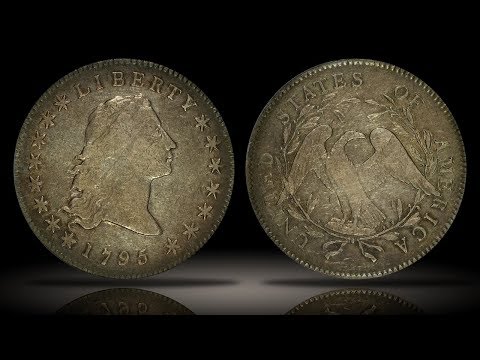 1795 Flowing Hair Silver Dollar 2 Leaves Variety PCGS VF20