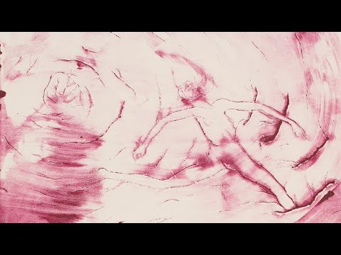 Vladimír Kokolia: In case the last thing you ever see.../ Pro případ, že poslední věc, co uvidíš...