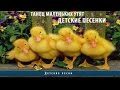 Танец маленьких утят | Детские песенки 