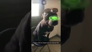 Oiseaux Tyson meilleur vidéo impossible de ne pas rire