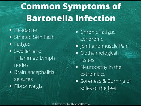 Bartonella (Cat Scratch Fever): Mysterious and More Common Than You Think