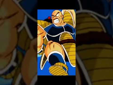 radiz vs all 😆😆😆