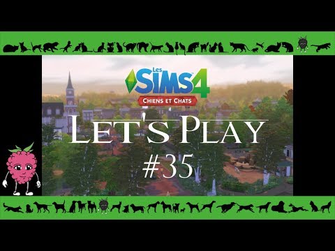 Chaîne Youtube Malina Page 14 Les Sims
