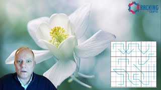 The Purest Form of Sudoku Brilliance