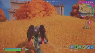 Fortnite_20250828214320
