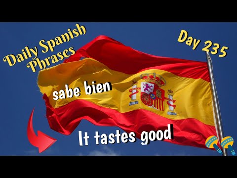 Daily Spanish Phrases! Everyday Spanish Practice To Help You Learn Spanish! Day 235!!!